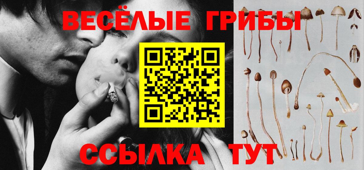Псилоцибиновые грибы ЛСД Ефремов