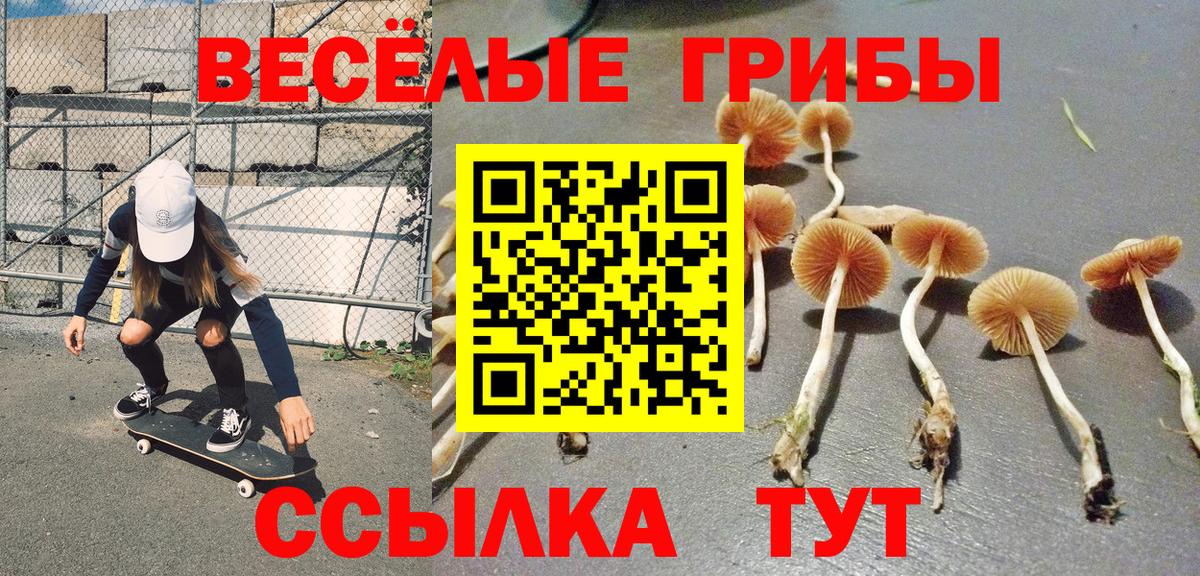 Псилоцибиновые грибы Psilocybine cubensis  Вход с VPN  Псилоцибиновые грибы Magic Shrooms  Ефремов 